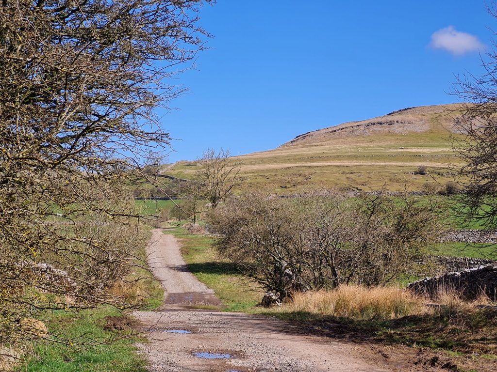 Knott Lane
