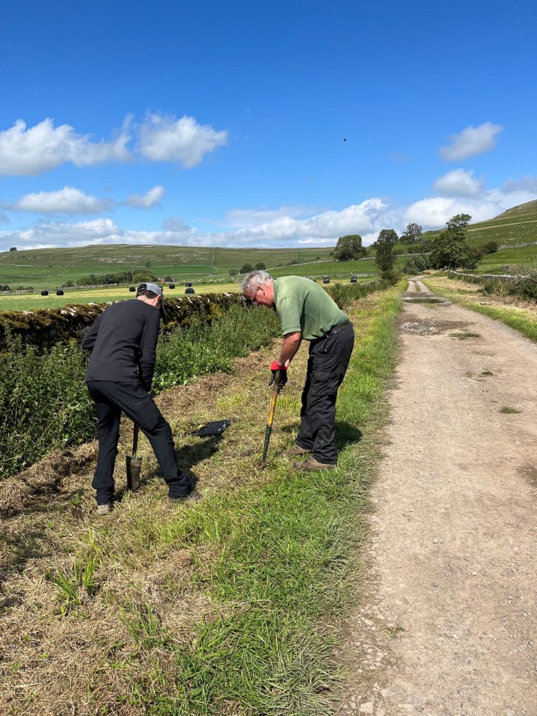 Wildflower Planting